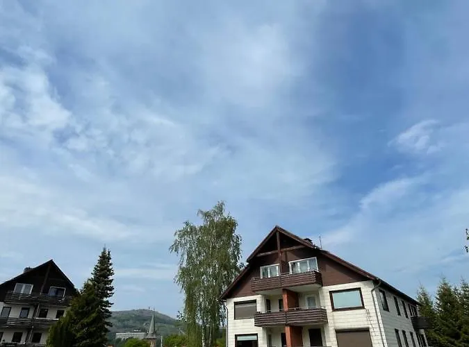 Daire Tami's Harzglück Braunlage